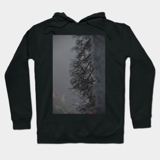 Mud Puddle Reflection Hoodie
